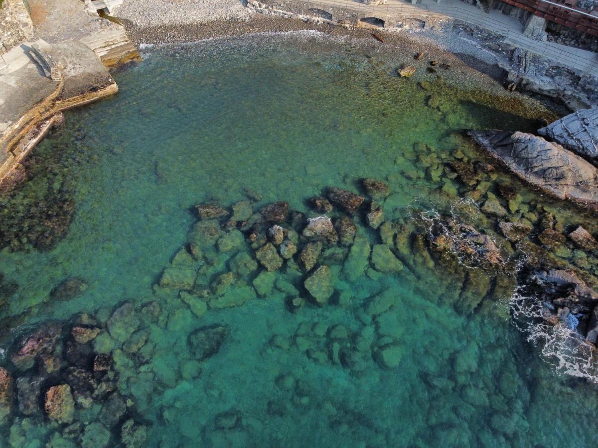 Apartmán La Terrazza Sul Mare Zoagli Exteriér fotografie