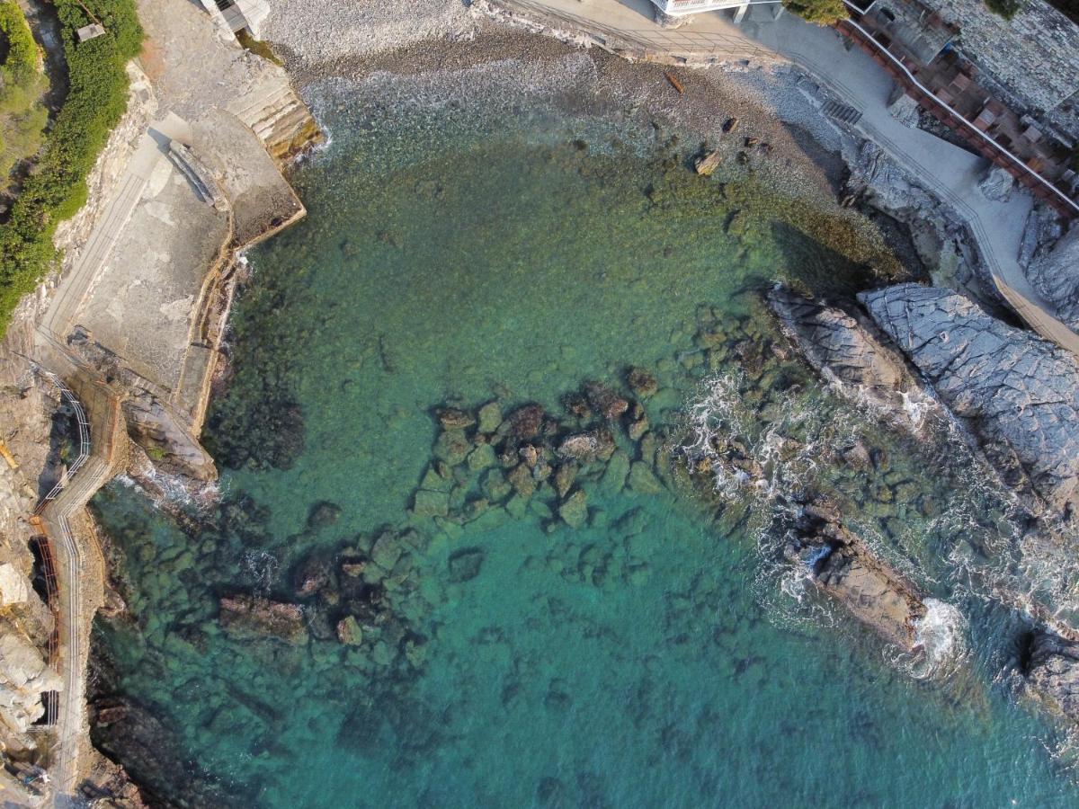 Apartmán La Terrazza Sul Mare Zoagli Exteriér fotografie